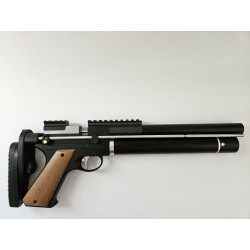 Short picatinny rail for PP750